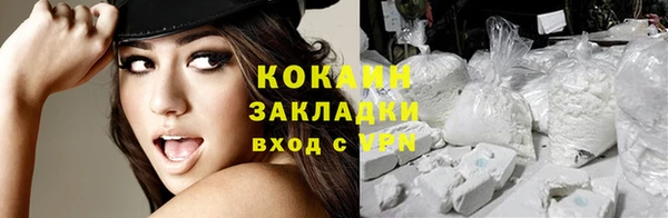 спиды Дмитриев