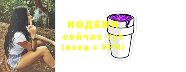 спиды Дмитриев