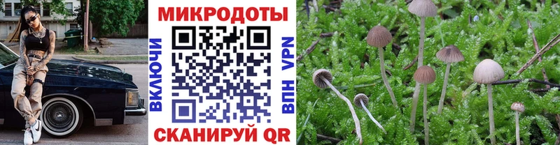 Псилоцибиновые грибы Psilocybine cubensis  Петухово 